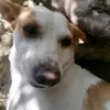 Adrián free - @raulperez1386 - TikTok