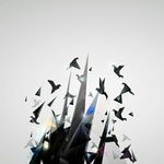 Adrian Freeman - @_adrianfreeman_ - Instagram
