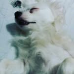 Adriana Freitag - @adriana.freitag.39 - Instagram