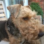 Adrian Funnell - @funnelladrian - Instagram