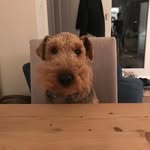 Adrian Funnell - @adrianfunnell - Instagram