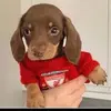 adrianfunnell - @adrianfunnell - TikTok