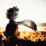 Adrian Gady - @adriangady - Instagram
