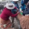 Adriana Gainza - @adriana.gainza - TikTok