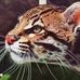 Adrian Gajda - Facebook