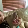 Adrián Marin - @adriangallardo1924 - TikTok