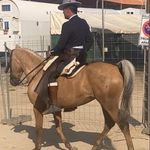 Adrian Gamonoso - @adriangamonoso - Instagram