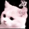bkdnllrvld - @adriangamon - TikTok