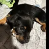 Adrián  - @adriangargarces - TikTok