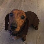Adrian Garrison - @garrison_adrian - Instagram