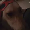 Adrian Gates - @adrian.gates2 - TikTok