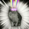adrian gault - @adrian.gault - TikTok