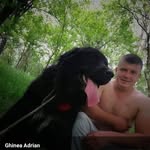 Ghinea Adrian - @ghinea.adrian.3 - Instagram