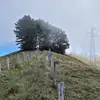 adrianogiannini36 - @adrianogiannini36 - TikTok