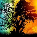 Adrian Glasgow - @adrian1232006 - Instagram