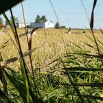 adrian goddard - @adrian_farm_boy - Instagram