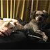 Adrian Goddard - Facebook
