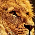 Adrian godwin - @adriangodwin3 - Instagram