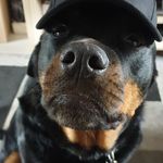 Adrian Godwin - @shinzuel - Instagram