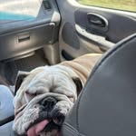 Adrian Goebel - @adrian.goebel.7 - Instagram