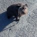 Adrian O Gorman - Facebook