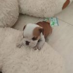 Adrian Gory Alvarez Hernanadez - @dije_que_el_verguillas - Instagram
