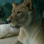 Adrian Graham - @adrian.graham_ - Instagram