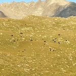 Adrian Grass - @adrian.grass - Instagram