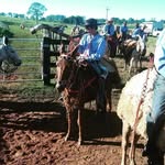 Adrian Abadio Gregorio - @adrianabadiogregorio - Instagram