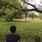 Adrian Gregory - @adrian.gregory - Instagram