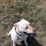 Adrian Grom - @adrian.grom.58 - Instagram