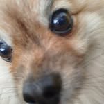 Adrian Gromyko - @adriangromyko - Instagram