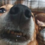 Adrian Grover Haselgrove - @adriangroverhaselgrove - Instagram