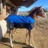 Adrian Guardiola - @adrian.guardiola03 - TikTok
