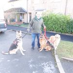 Adrian Guest - @adriang_dogwalker - Instagram