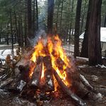 Adrian Guinn - @a.guinnster - Instagram