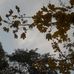 Adriana Guiu - Facebook