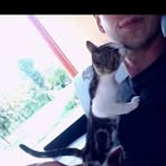 Adrian Gutu - @panda.380490 - Instagram