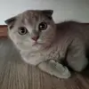 adriangutu923 - @adriangutu923 - TikTok