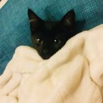 Adrian Hammond - @adrian.hammond.14855 - Instagram