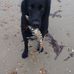 Adrian Handley - Facebook