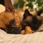 Adrian Hanisch - @meister.hanisch - Instagram