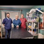 Adrian Hanley Vet Clinic - @dooradoylevet - Instagram