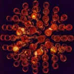 Adrian Hans - @serpentino3.0 - Instagram