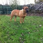 Adrian - @adrianharney12 - Instagram