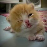 Adrian Haro - @adrian_._.__ - Instagram