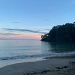 𝒜𝒹𝓇𝒾á𝓃 𝐻𝒶𝓊𝓈𝑒𝓇 - @adrianhauser2.0 - Instagram