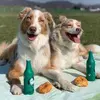 Adrian Hecker - @adrian.hecker6 - TikTok