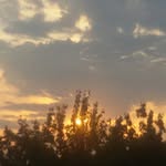 @adrianhellmann.ah - Instagram