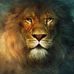 Adrian Hendrix - Facebook